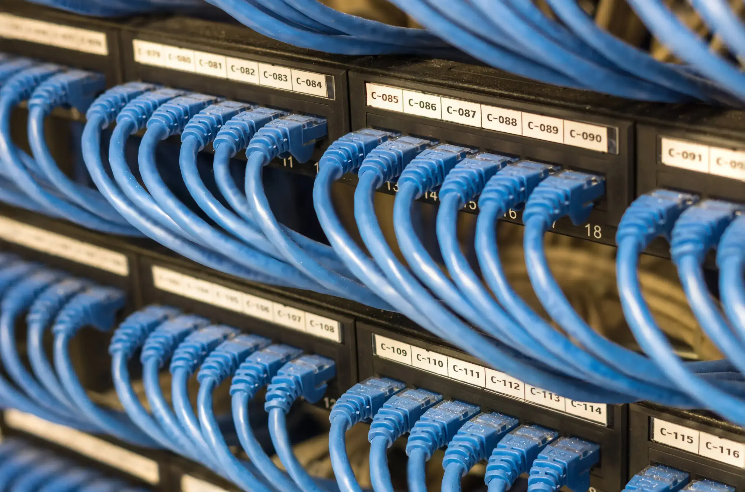Blue network cables plugged into a server